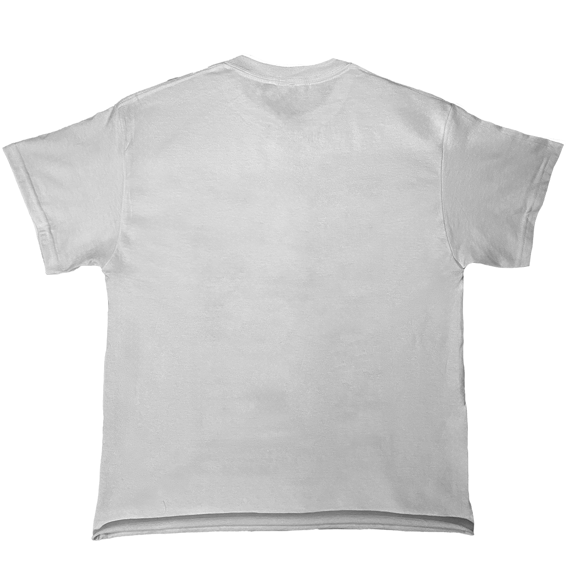 CandyFACTS Label T-Shirt