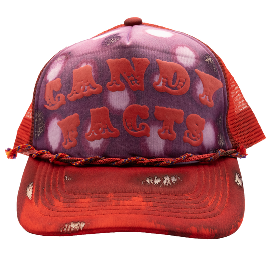 CandyFACTS Zombie Slayer Trucker Hat